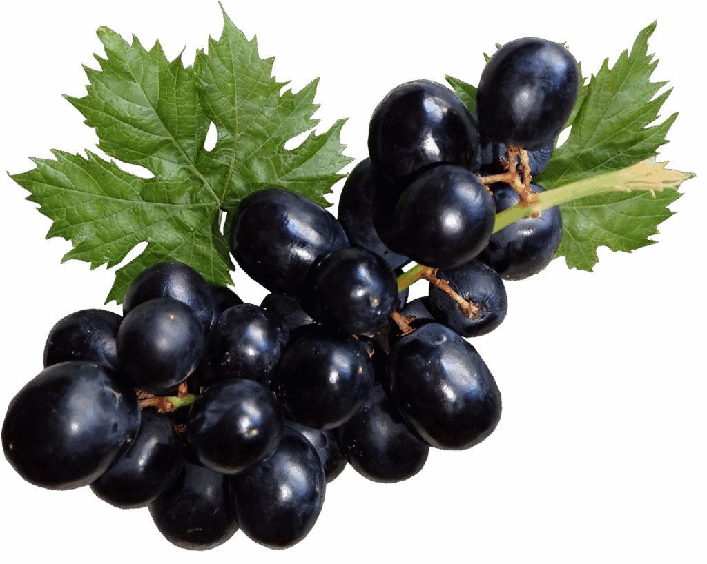 Black Grapes image