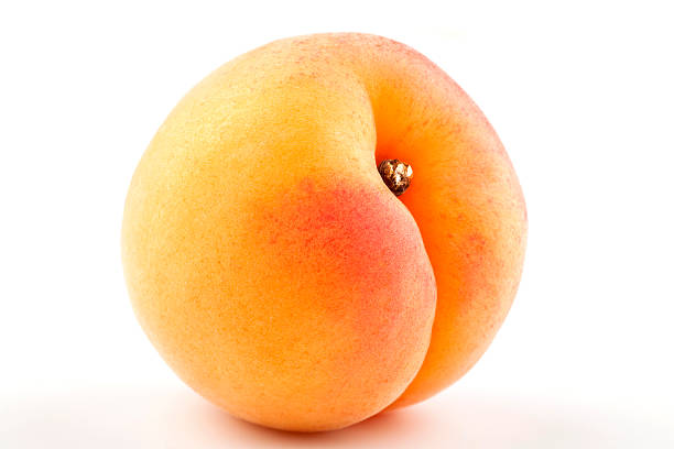 Apricot Fruit single ripe apricot isolated on white