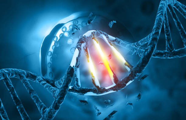 Apricot Fruit dna mutation or damage .dna strand science background. 3d illustration