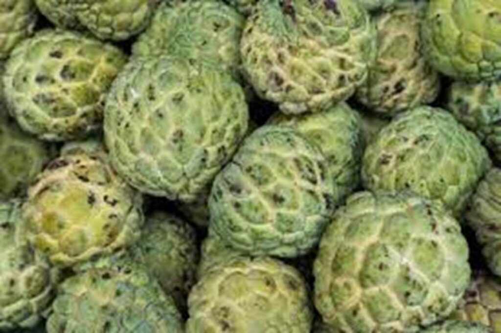 Custard Apple image