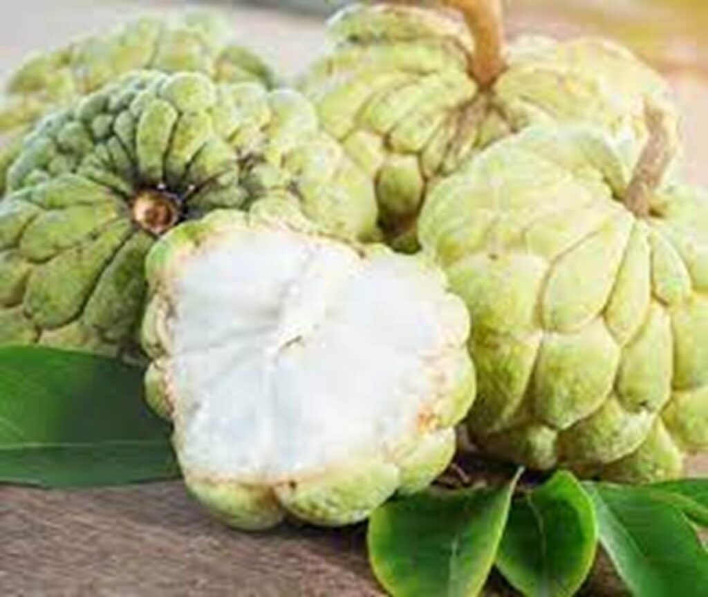 Custard Apple image