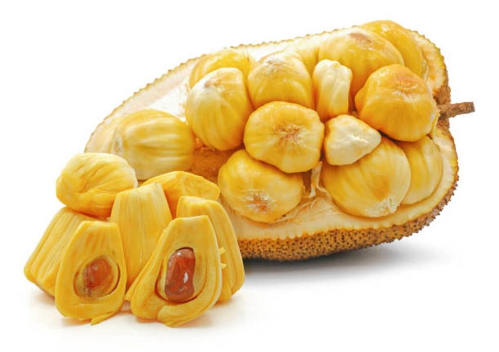 Jack fruit image